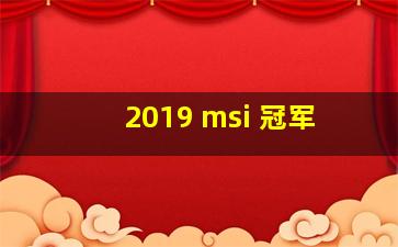 2019 msi 冠军